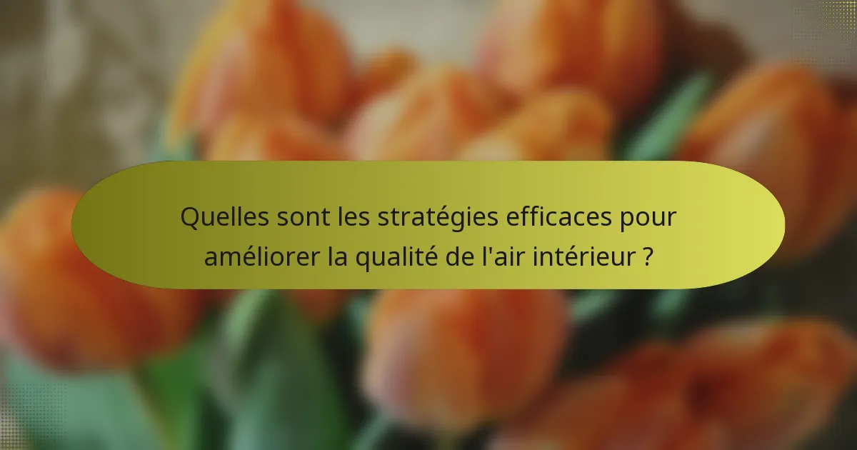 Quelles sont les stratégies efficaces pour améliorer la qualité de l'air intérieur ?