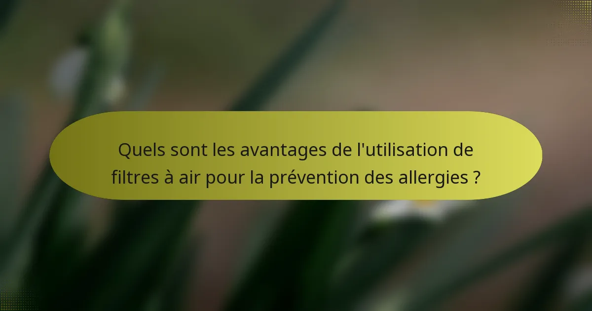 Quels sont les avantages de l'utilisation de filtres à air pour la prévention des allergies ?