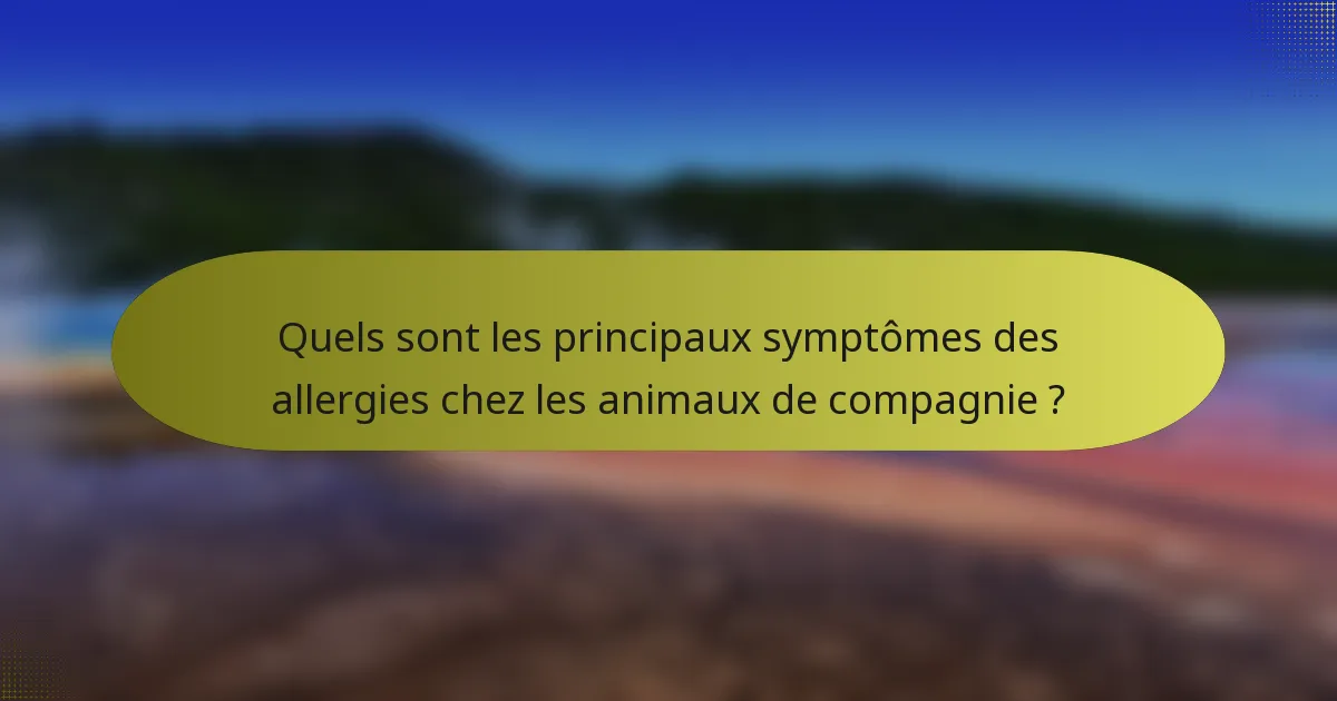 Quels sont les principaux symptômes des allergies chez les animaux de compagnie ?